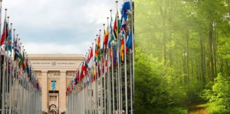 WIPO-IGC 43: Logjam Over Two Genetic Resources Texts