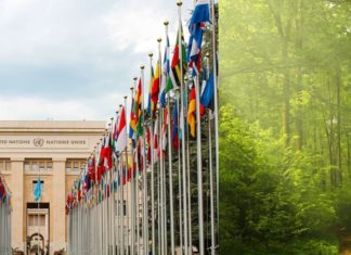 WIPO-IGC 43: Logjam Over Two Genetic Resources Texts