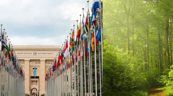 WIPO-IGC 43: Logjam Over Two Genetic Resources Texts