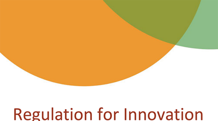 Regulation for Innovation: Conceptualising a Development Research Agenda for Inclusive and Sustainable Economies in Lower-Income Countries