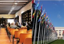 WIPO-IGC 45: Bold and Strategic Moves Toward TK and TCE Text(s)