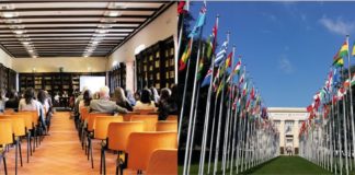 WIPO-IGC 45: Bold and Strategic Moves Toward TK and TCE Text(s)