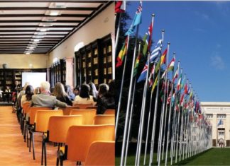 WIPO-IGC 45: Bold and Strategic Moves Toward TK and TCE Text(s)