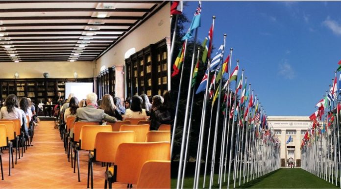 WIPO-IGC 45: Bold and Strategic Moves Toward TK and TCE Text(s)