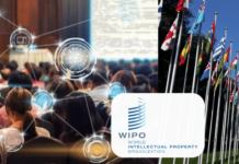 WIPO-IGC 47: Resetting IGC after 2024 Diplomatic Conference on Genetic Resources