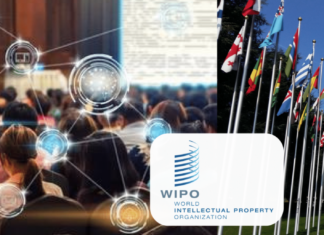 WIPO-IGC 47: Resetting IGC after 2024 Diplomatic Conference on Genetic Resources