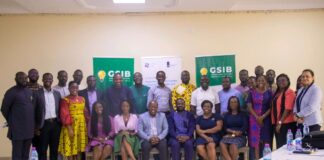 Building Startup Resilience in Ghana Through Policy Support
