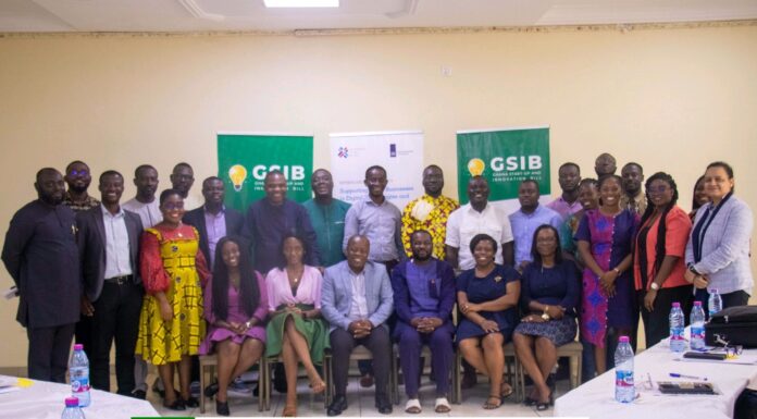 Building Startup Resilience in Ghana Through Policy Support