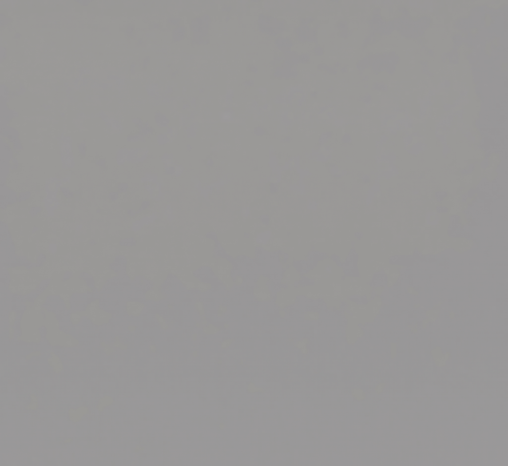 Light Gray (RBG: 154, 154, 154)